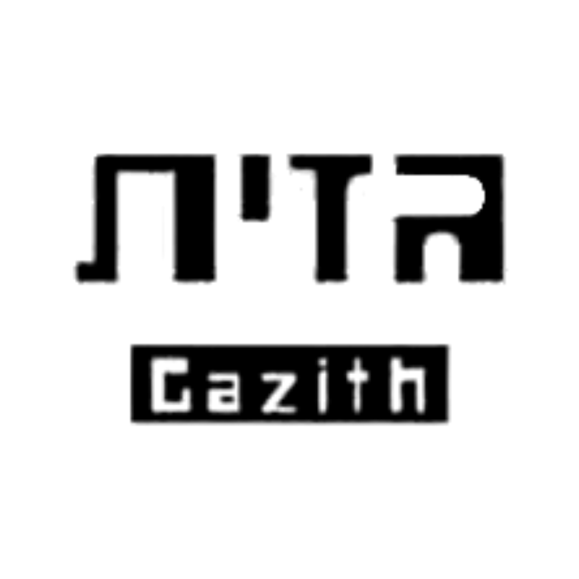 גזית